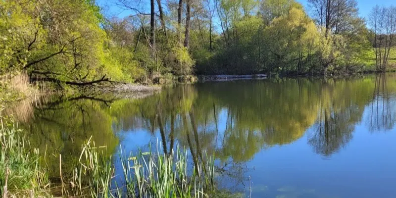 Gieselteich
